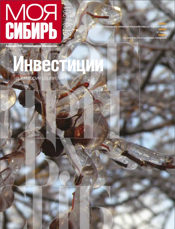 Инвестиционная инфраструктура региона